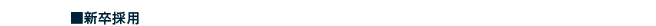 新卒採用